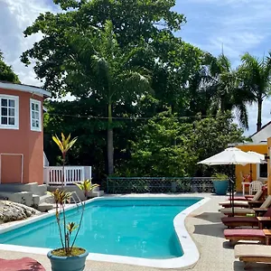https://the-blue-orchid-montego-bay.hotelsnegriljamaica.com